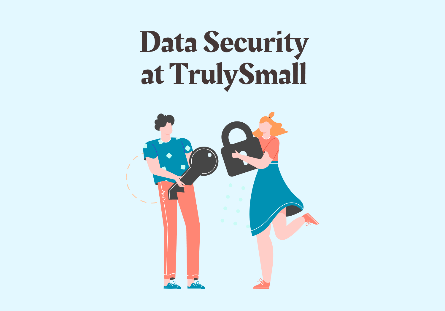 Data Security at TrulySmall